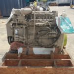 Cummins QSB. Engine  x