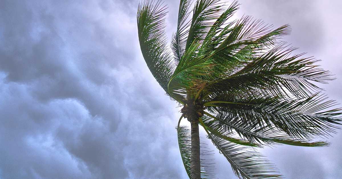 What Is the Most Common Cause of Power Failure?
